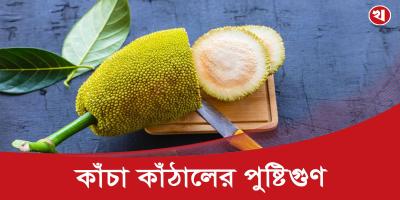 কাঁচা কাঁঠালকে বলা হয় 'গাছের মাংস'